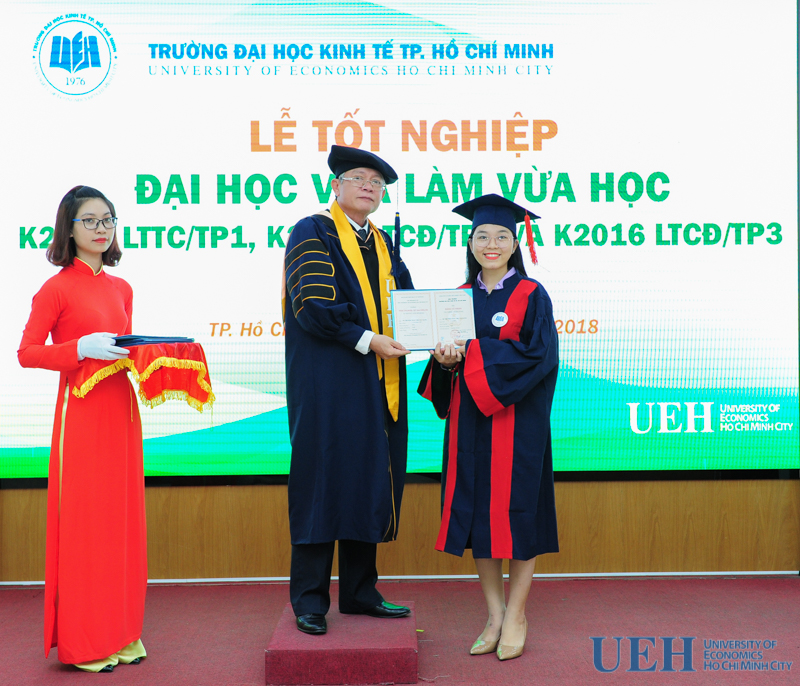 cá cược thể thao hul city